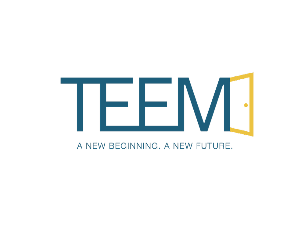 TEEM Logo