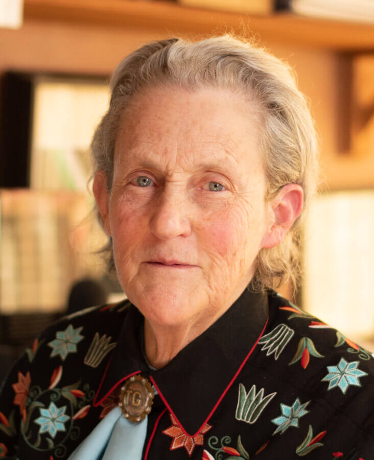 Woman with grey hair, in a black shirt embroidered with stars and flowers