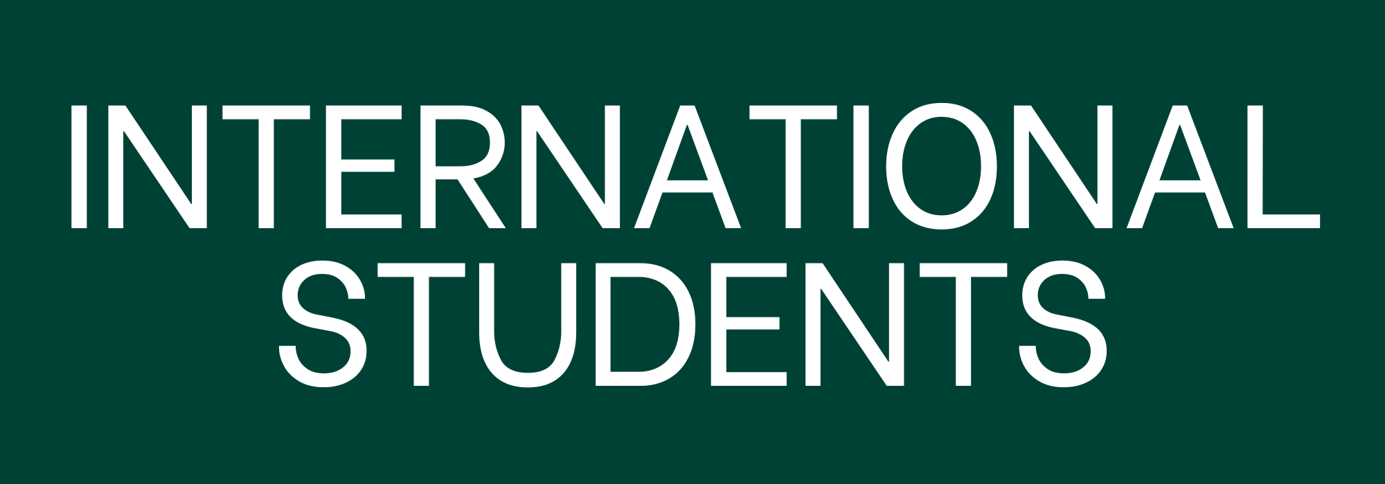 international students scholarship web page